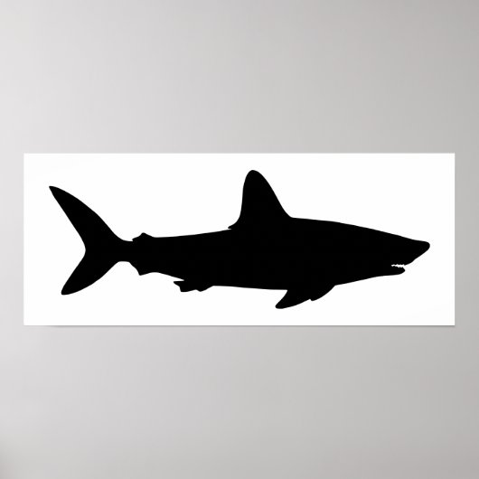 Witte en zwarte haai poster (Voorkant)