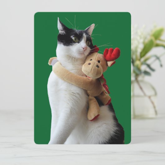 Witte en zwarte kat en rendierkerst Speelgoed Feestdagenkaart (Staand voorkant)