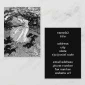 Witte en zwarte katten in maanlicht visitekaartje (Voorkant / Achterkant)