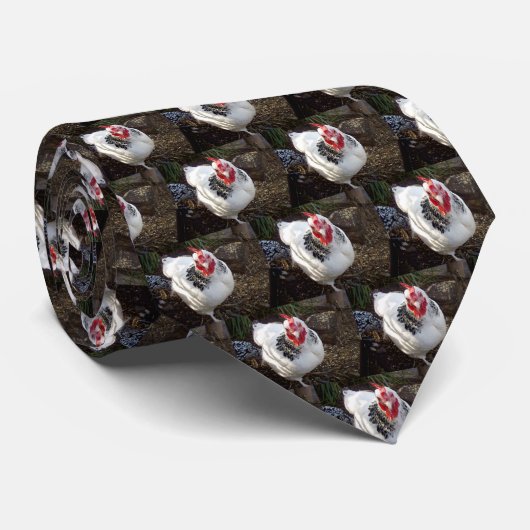 Witte en zwarte kip, gespikkeld stropdas (Opgerold)