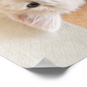 Witte en zwarte Kittens Poster (Hoek)