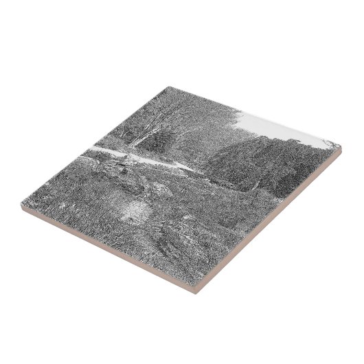 Witte en zwarte natuur schets tegeltje (Zijkant)