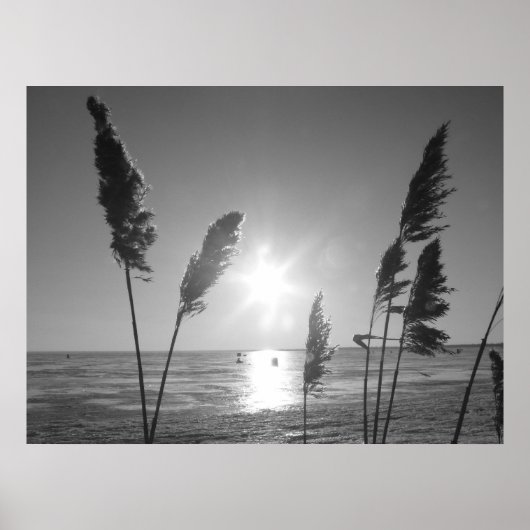 Witte en zwarte onkruid poster (Voorkant)