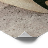 Witte en zwarte surfplank poster (Hoek)