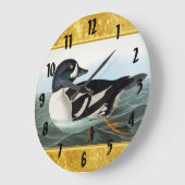 Witte en zwarte wilde eenden zwemmen in water grote klok (Hoek)