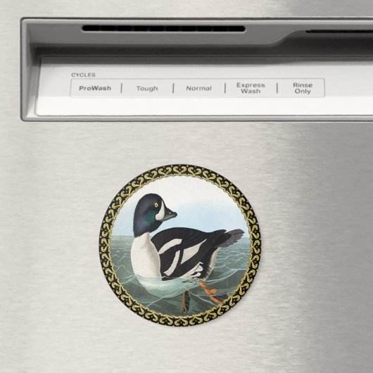 Witte en zwarte wilde eenden zwemmen in water magneet (Insitu (Vaatwasser))