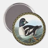 Witte en zwarte wilde eenden zwemmen in water magneet (Voorkant / Achterkant)