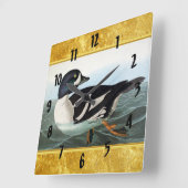 Witte en zwarte wilde eenden zwemmen in water vierkante klok (Hoek)