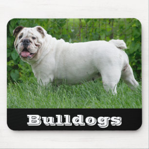 Witte Engelse Bulldog Puppy Hond Muismat