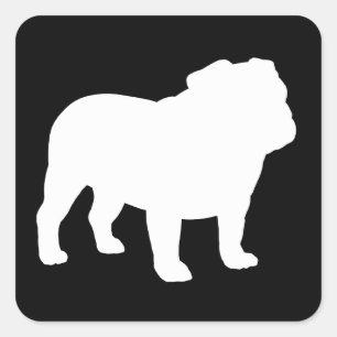 Witte Engelse Bulldog Silhouet Vierkante Sticker