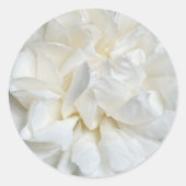 Witte Engelse roos close-up Ronde Sticker (Voorkant)