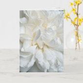 Witte Engelse roos close-up trouwkaart Kaart (Gele Bloem)