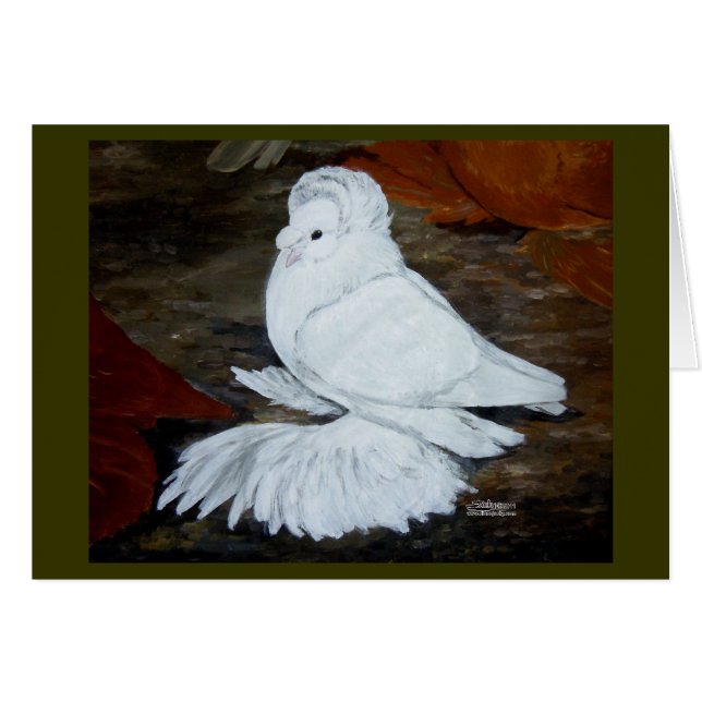 Witte Engelse trompetduif (Voorkant Horizontaal)