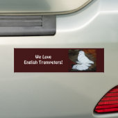 Witte Engelse trompetduif Bumpersticker (Op auto)