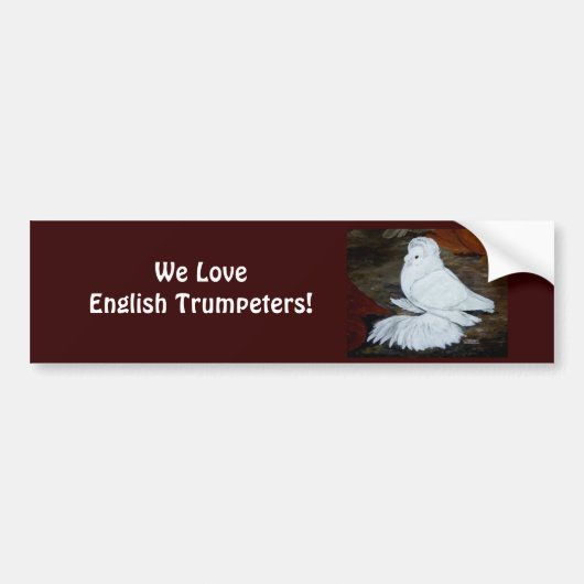 Witte Engelse trompetduif Bumpersticker (Voorkant)