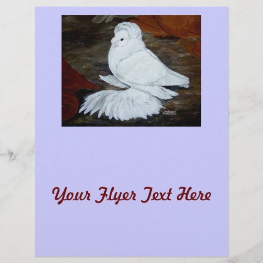 Witte Engelse trompetduif Flyer (Voorkant)