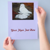Witte Engelse trompetduif Flyer (Hand)