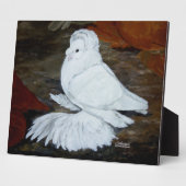 Witte Engelse trompetduif Fotoplaat (Zijkant)