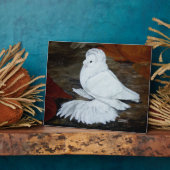 Witte Engelse trompetduif Fotoplaat (Zijkant)