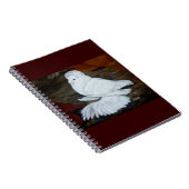 Witte Engelse trompetduif Notitieboek (Rechterzijde)