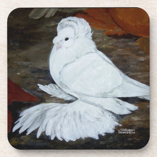 Witte Engelse trompetduif Onderzetter (Voorkant)