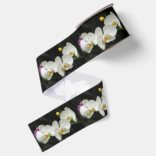 Witte falanopsis orchidee lint (Achterkant)