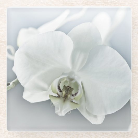 Witte faleonopsis orchidee glazen onderzetter (Voorkant)
