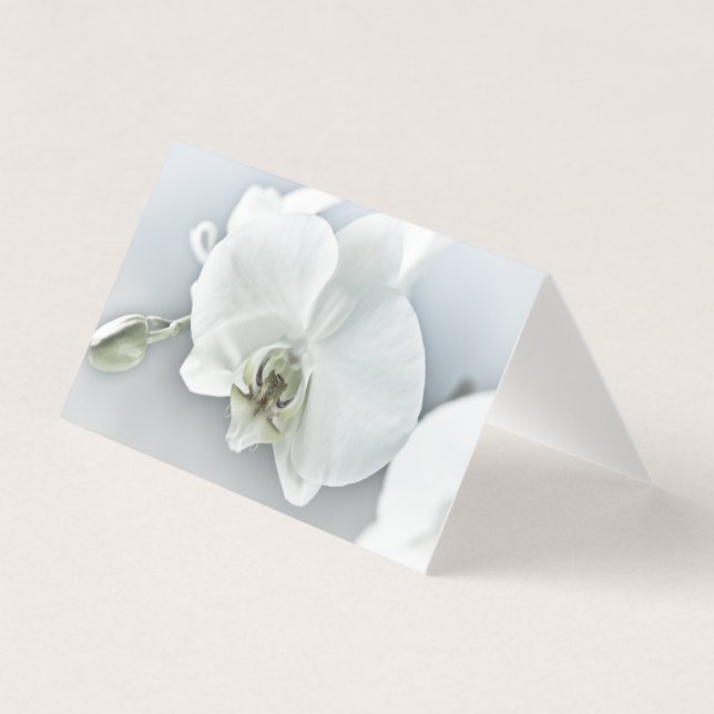 Witte faleonopsis orchidee kaart (Voorkant)