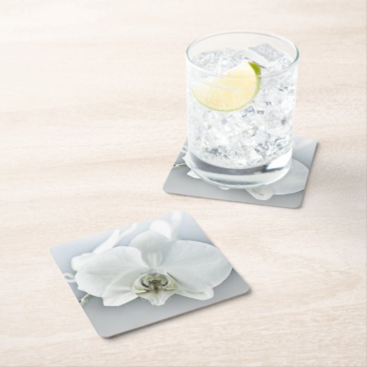 Witte faleonopsis orchidee kartonnen onderzetters (Insitu)