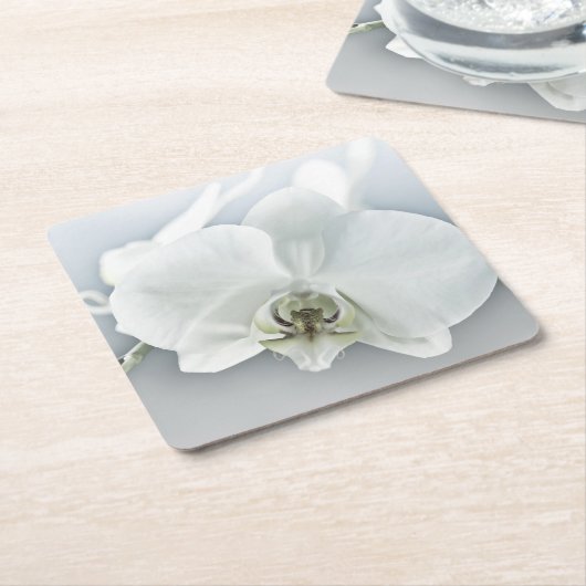 Witte faleonopsis orchidee kartonnen onderzetters (Schuin)