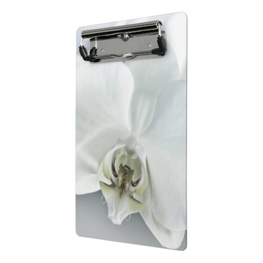 Witte faleonopsis orchidee mini klembord (Angled2)
