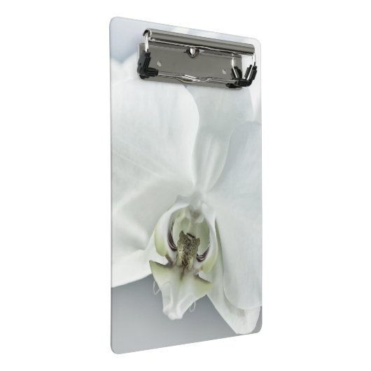 Witte faleonopsis orchidee mini klembord (Schuin)