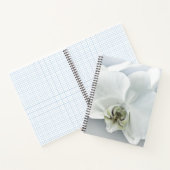 Witte faleonopsis orchidee notitieboek (Binnen)