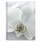 Witte faleonopsis orchidee notitieboek (Voorkant)