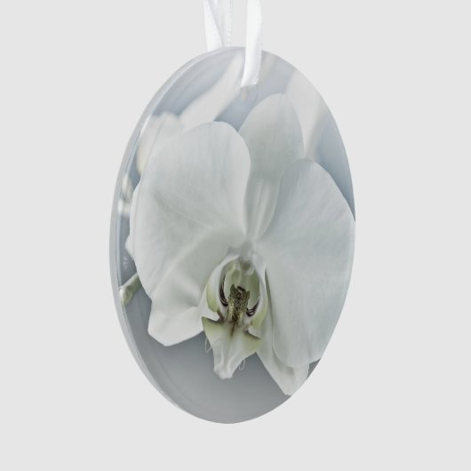 Witte faleonopsis orchidee ornament (voorkant)