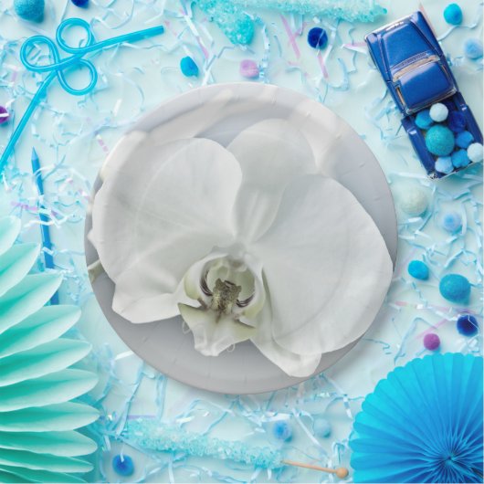 Witte faleonopsis orchidee papieren bordje (Feest)