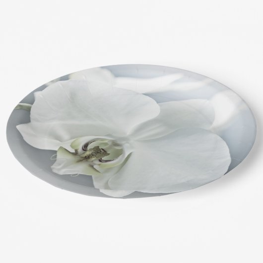 Witte faleonopsis orchidee papieren bordje (Gekanteld)
