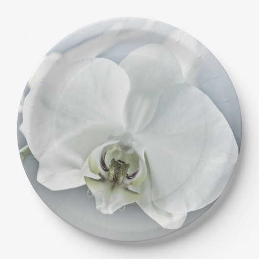 Witte faleonopsis orchidee papieren bordje (Voorkant)