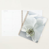 Witte faleonopsis orchidee planner (Display)
