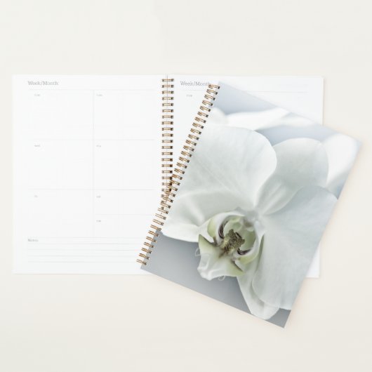 Witte faleonopsis orchidee planner (Display)
