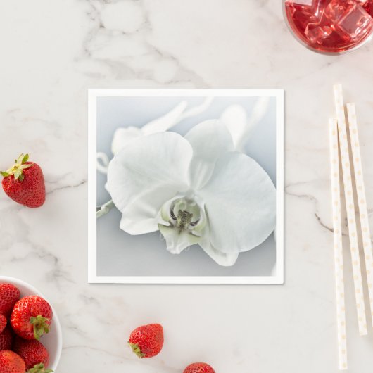 Witte faleonopsis orchidee servet (Insitu)