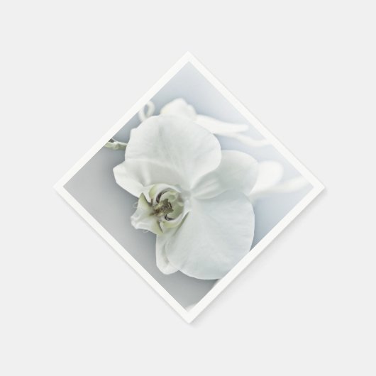 Witte faleonopsis orchidee servet (Hoek)