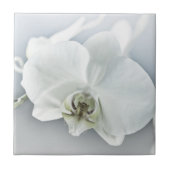 Witte faleonopsis orchidee tegeltje (Voorkant)