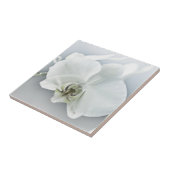 Witte faleonopsis orchidee tegeltje (Zijkant)