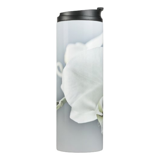 Witte faleonopsis orchidee thermosbeker (Gedraaid links)