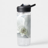 Witte faleonopsis orchidee waterfles (Links)