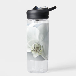 Witte faleonopsis orchidee waterfles