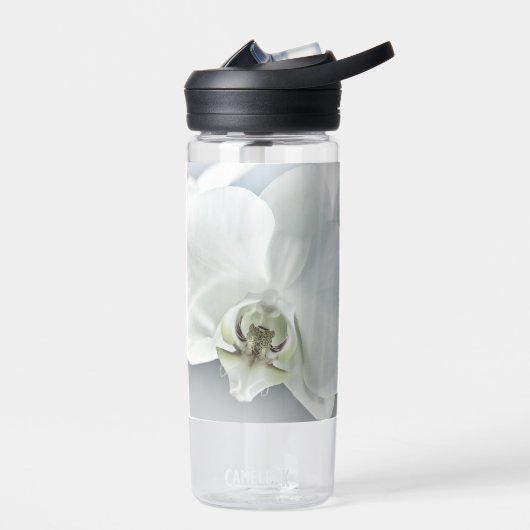 Witte faleonopsis orchidee waterfles (Links)