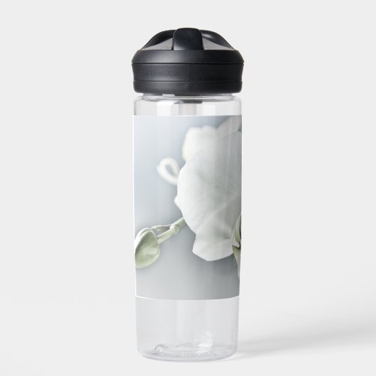 Witte faleonopsis orchidee waterfles (Voorkant)