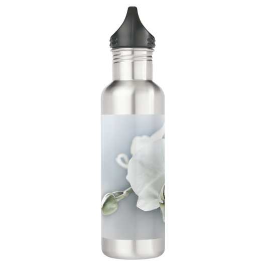 Witte faleonopsis orchidee waterfles  (Links)